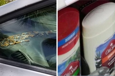 Zdjęcia, które przetestują Twoje nerwy. Samo patrzenie sprawi, że czujesz się nieswojo