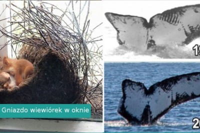 17 osób, które natknęły się na prawdziwe cuda natury i zdążyły je uwiecznić