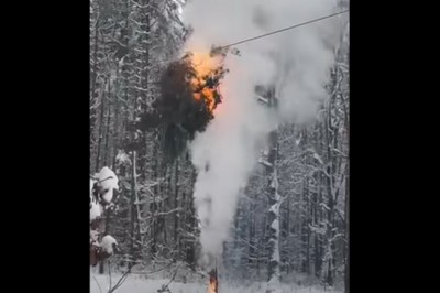 Kiedy w lesie natrafiasz na awarię linii wysokiego napięcia