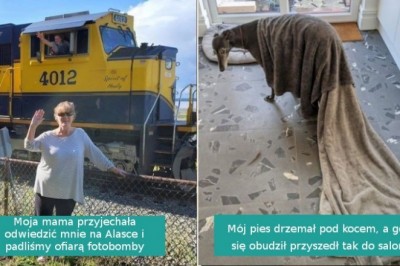 17 zdjęć, które zostały wykonane w perfekcyjnym momencie i dały świetne efekty