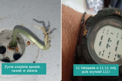 18 zdjęć pokazujących, że świat jest pełen niespodzianek