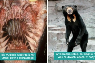 16 niepokojących zdjęć, które podwyższyły nam tętno