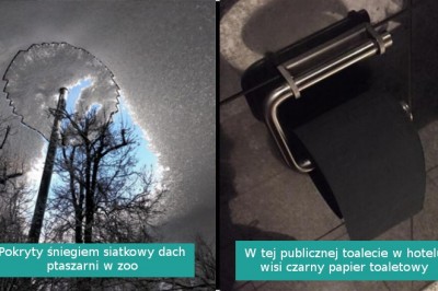 15 osób, których dzień nie mógł okazać się dziwniejszy