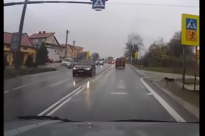 Ten pies wie jak się zachować na przejściu dla pieszych