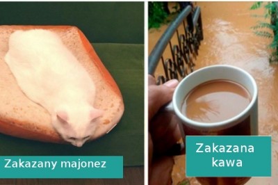 21 „zakazanych potraw”, które wyglądają pysznie ale są niejadalne