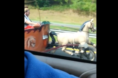 Kiedy lecisz sobie autostradą, a z prawej wyprzedza Cię rydwan
