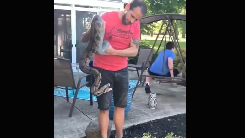 Co może pójść nie tak kiedy złapiesz ogromnego węża w ogródku?