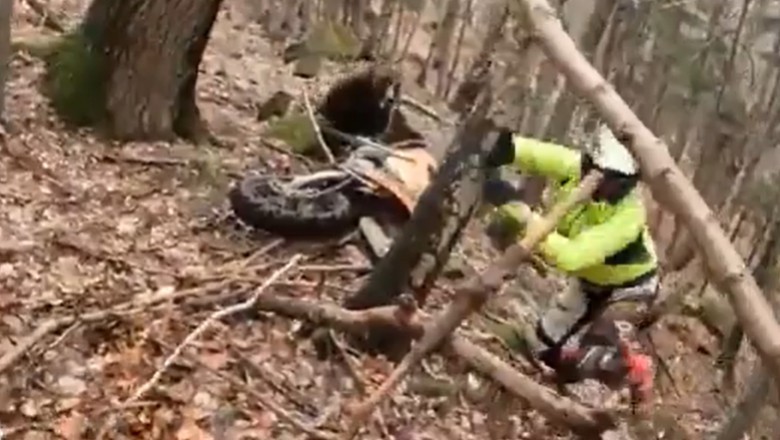 Dwóch motocyklistów wjechało na teren niedźwiedzia