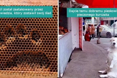 15 zdjęć pokazujących, że świat jest pełen niecodziennych rzeczy