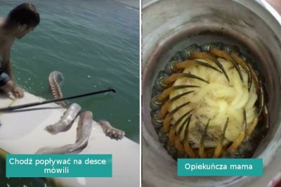 15 zdjęć pokazujących, że natura potrafi być przerażająca