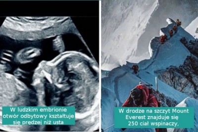 19 mało przyjemnych faktów, które mogą zmienić sposób w jaki postrzegam świat