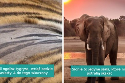 15 dziwnych i potencjalnie bezużytecznych faktów na temat naszego świata