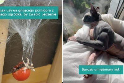 18 sytuacji, w których natura zdumiała nas swoją unikalnością