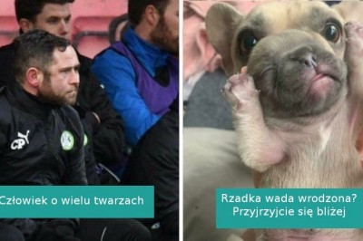16 zdjęć, które wystawiły nasz wzrok i percepcję na próbę