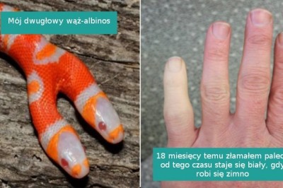 15 pozornie zwyczajnych rzeczy, które okazały się zupełnie nietypowe