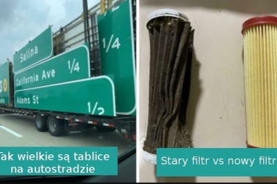 16 „zwyczajnych” zdjęć, pokazujących nietypowe strony codziennego życia