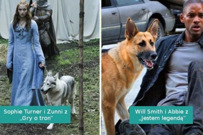 Gwiazdy, które zakochały się w swoich filmowych zwierzakach i zabrały je do domu