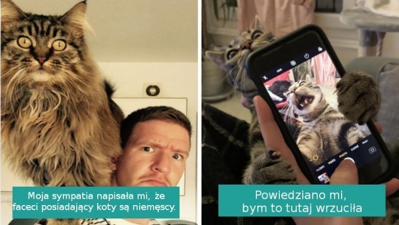 20 najzabawniejszych zdjęć kotów wrzuconych do Internetu przez właścicieli