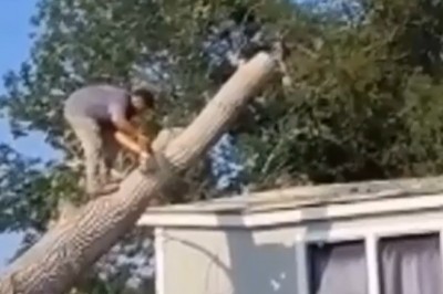 Nauczył się latać podczas robienia porządków w ogrodzie