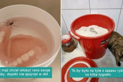 15 zdjęć osób, które rozpaczliwie potrzebują przytulenia po trudnym dniu