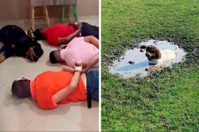 „Co jest nie tak z twoim psem?” 16 czworonogów, u których wystąpił błąd systemu