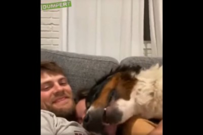 Zazdrosny pies który też chce się poprzytulać