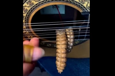 Prawdziwy Mariachi. Solówka na gitarze z ogonami grzechotnika