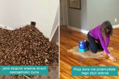 15 niespodziewanych sytuacji, obok których trudno przejść obojętnie