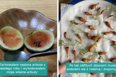 15 osób, które spróbowały wyhodować własne jedzenie, lecz coś poszło nie tak