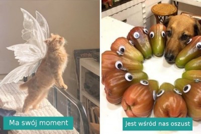 15 fotografii, które rozgrzeją was lepiej niż kubek kakao i poprawią nastrój w ciężki dzień