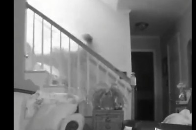 Chciała być gibka jak jej koty ale coś nie pykło