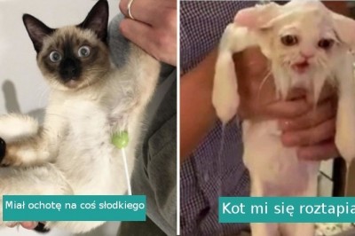 20 zwierzaków, których zachowanie zaskoczyło nawet ich właścicieli