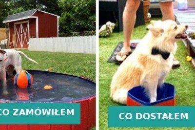 Te osoby postanowiły zagrać w grę o nazwie zakupy w Internecie, i poległy z kretesem