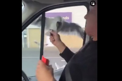 Ojciec i jego sztuczka z ptakiem. Córka była zachwycona