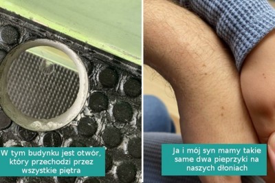 15 „umiarkowanie interesujących” fotografii pokazujących, że codzienność potrafi zaskoczyć