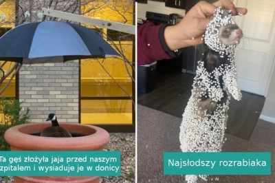 16 fotografii, przy których uśmiech sam ciśnie nam się na usta