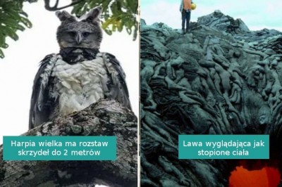 18 interesujących i niepokojących fotografii, którymi podzielili się internauci