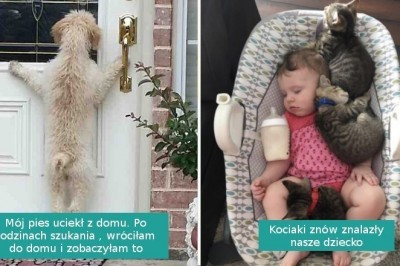 17 zwierzaków, które mogą poprawić ci humor w trudnym dniu