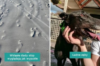 16 fotografii, które sprawiły, że zwątpiliśmy w nasz wzrok