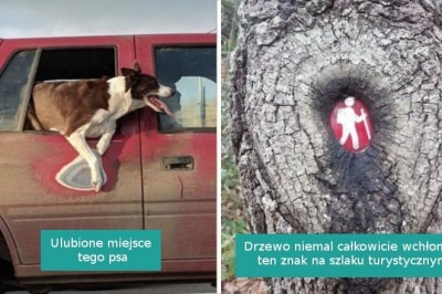 15 niezwykłych przykładów ukazujących piętno, jakie pozostawia upływający czas