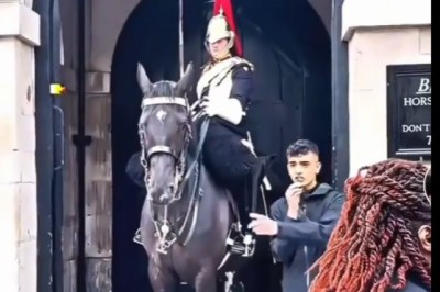 Irytujący cwaniak szybko pożałował swojej prowokacji