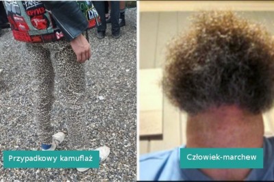 15 fotografii, które zasługują na miejsce w muzeum zdziwienia i zmieszania