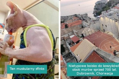 17 osób, które podzieliły się swoimi niezwykłymi odkryciami i pomysłami