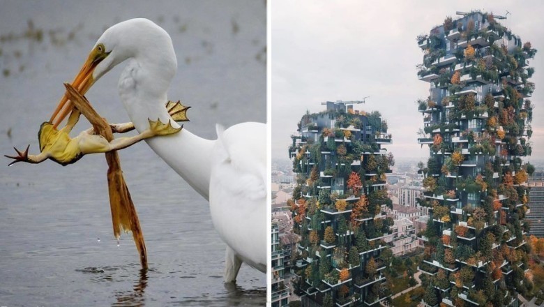 20 zapierających dech fotografii z konkursu National Geographic. Inne oblicze świata