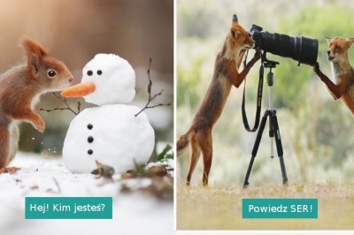 25 niezwykłych fotografii dzikich zwierząt, uchwyconych w nietypowych momentach