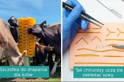 16 interesujących urządzeń i narzędzi, których nie widzimy na co dzień