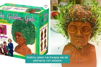 15 zakupów w Internecie, które niektórych doprowadziły do śmiechu, a innych do łez