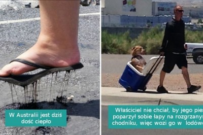 17 fotografii pokazujących konsekwencje ekstremalnych letnich upałów