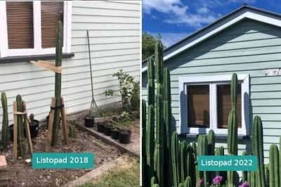 15 dumnych osób, które pochwaliły się swoimi ogrodami i plonami