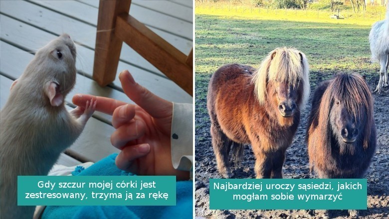 15 uroczych fotografii, które chwycą cię za serce dawką pozytywnych emocji